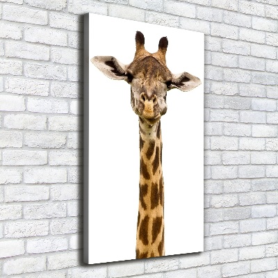 Canvas print Giraffe