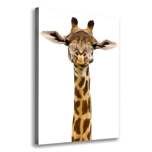 Canvas print Giraffe