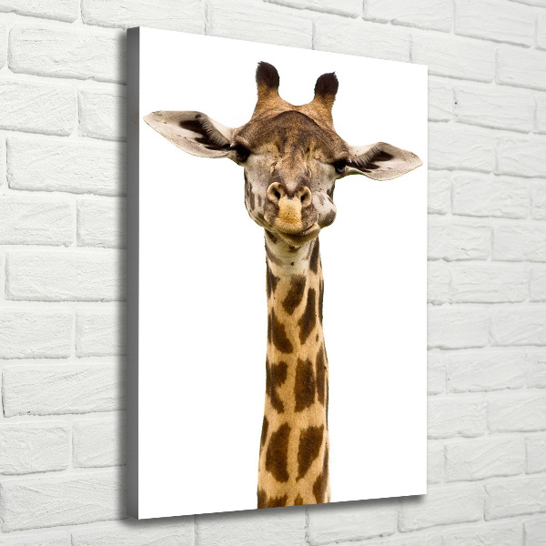 Canvas print Giraffe