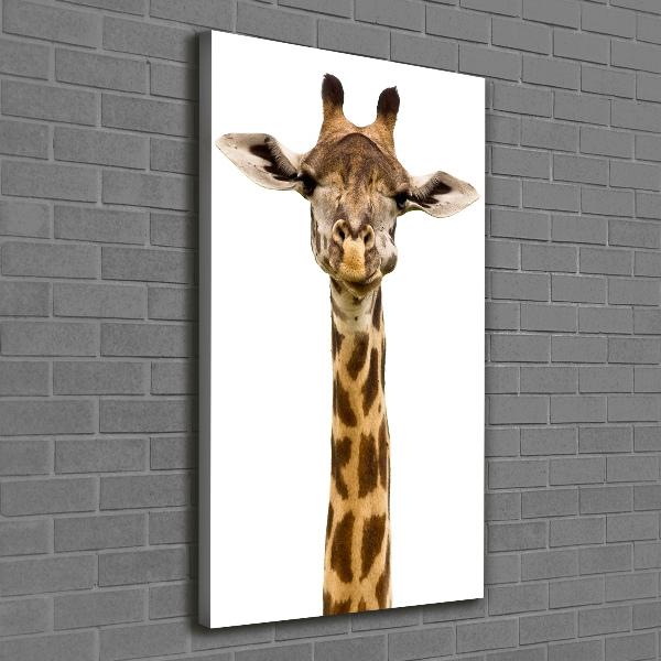 Canvas print Giraffe