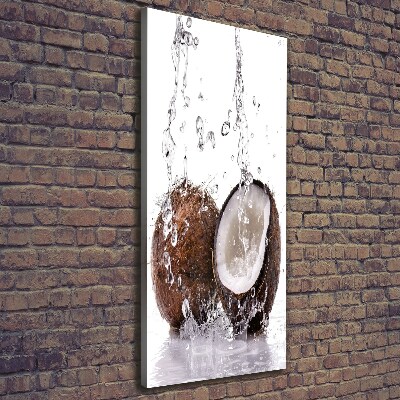 Wall art canvas large Coconut