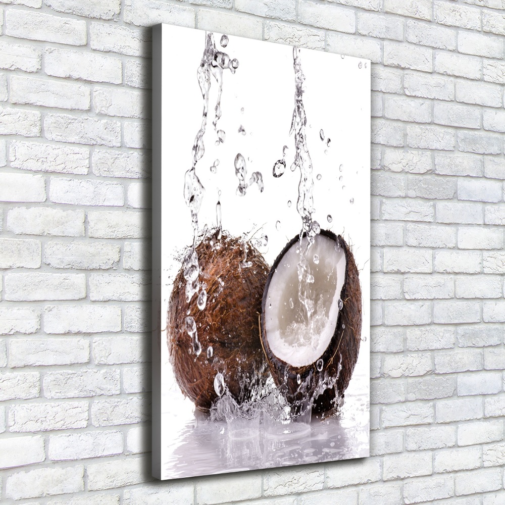 Wall art canvas large Coconut