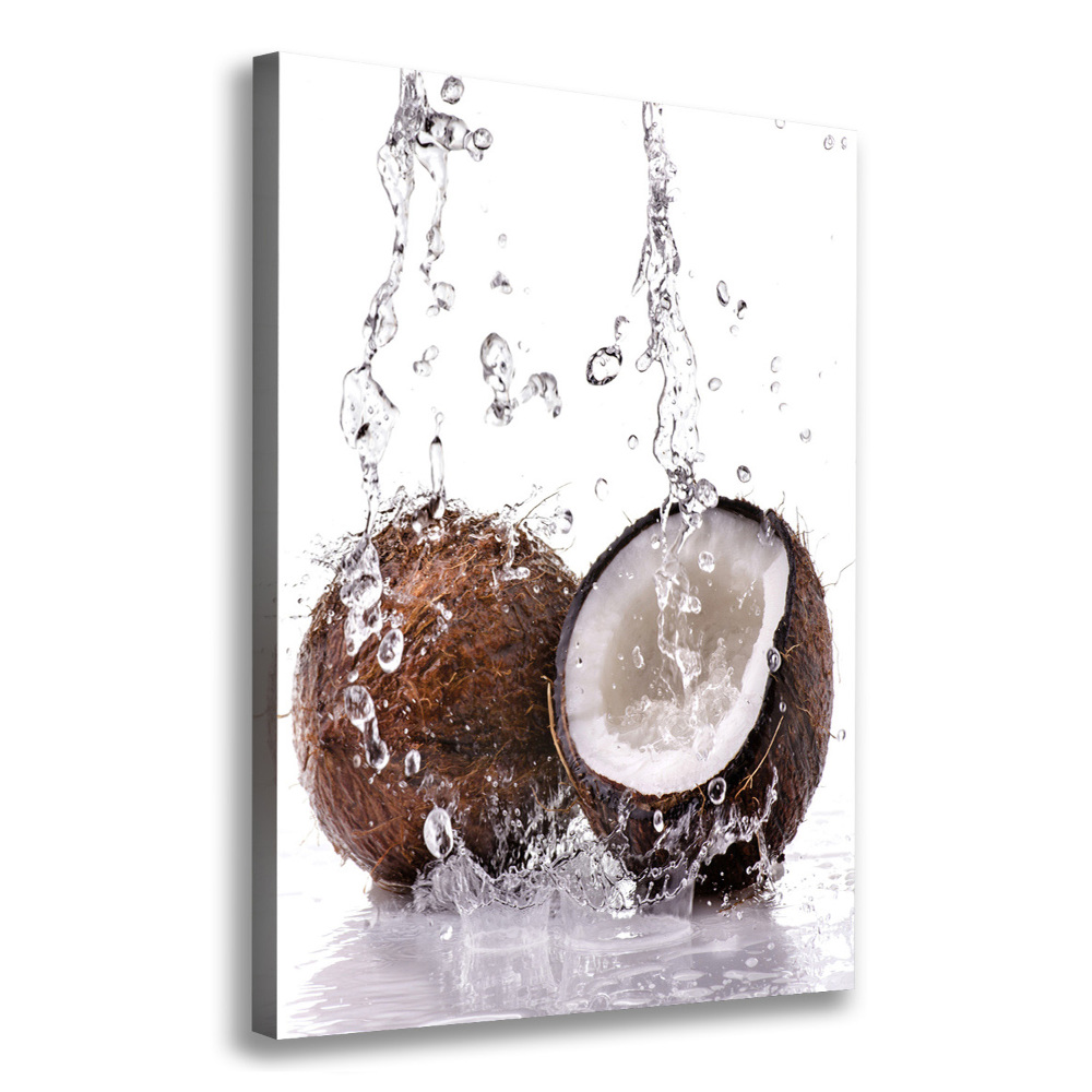 Wall art canvas large Coconut