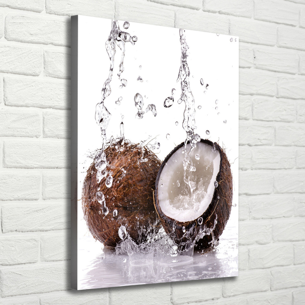 Wall art canvas large Coconut