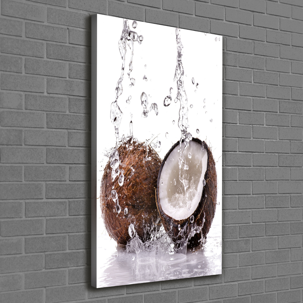 Wall art canvas large Coconut