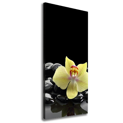 Large canvas wall art Orchid and stones