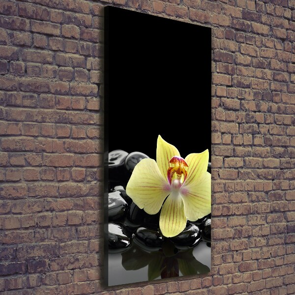 Large canvas wall art Orchid and stones