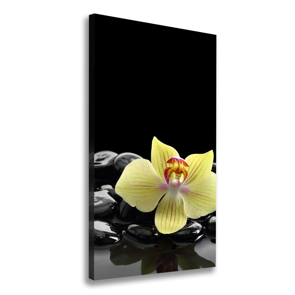 Large canvas wall art Orchid and stones