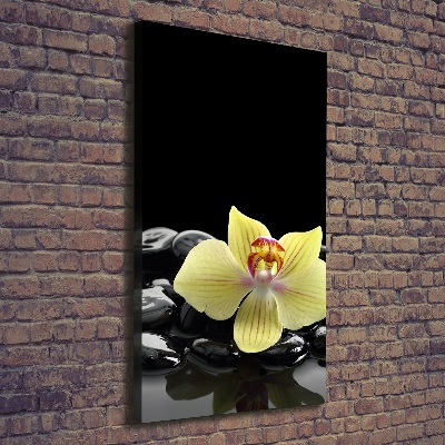 Large canvas wall art Orchid and stones