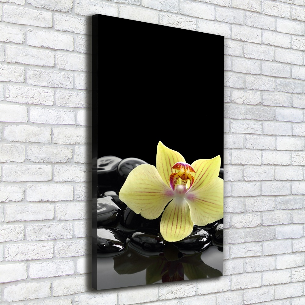 Large canvas wall art Orchid and stones