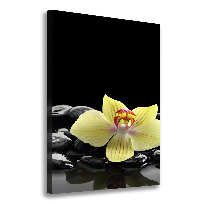 Large canvas wall art Orchid and stones