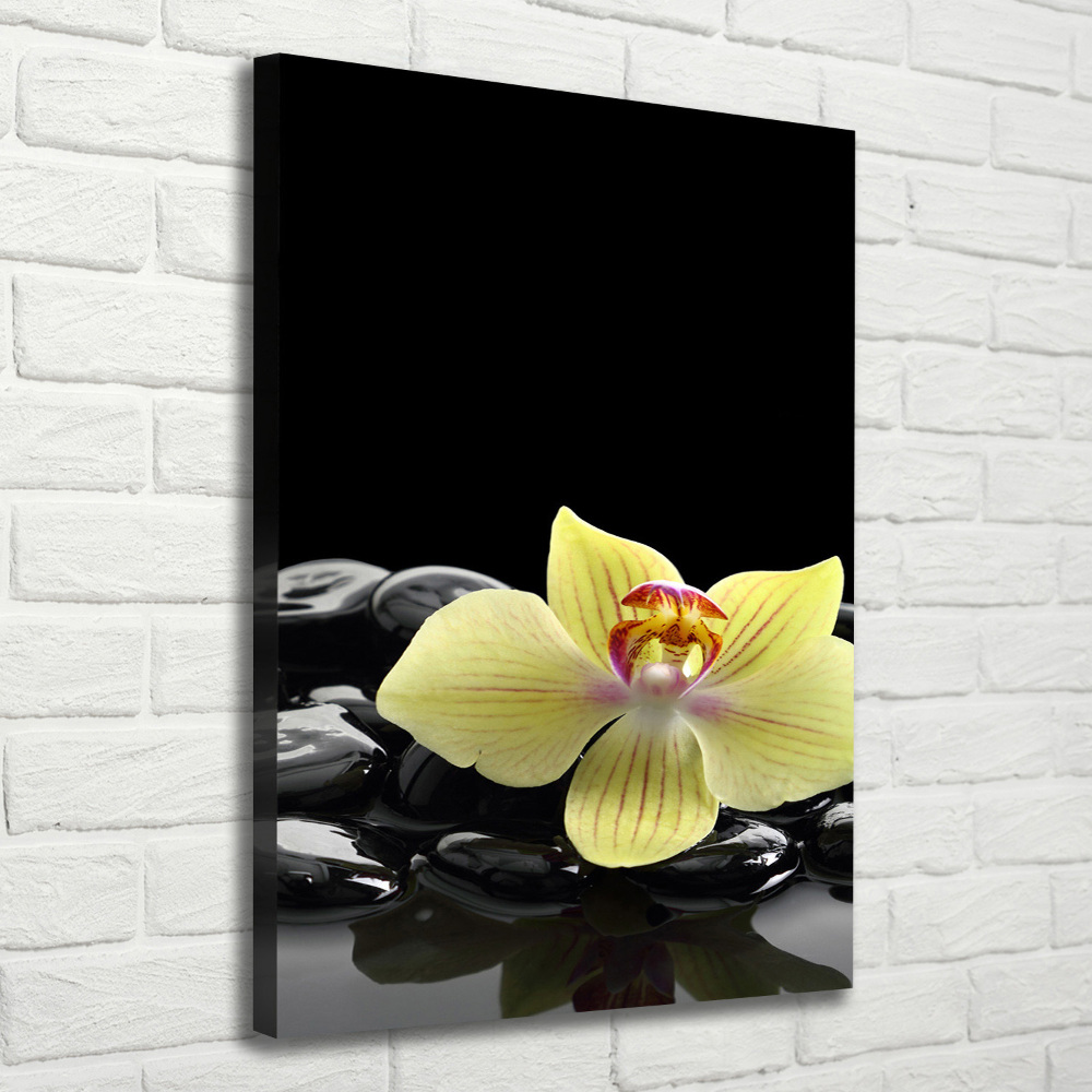 Large canvas wall art Orchid and stones