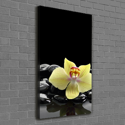 Large canvas wall art Orchid and stones