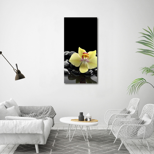 Large canvas wall art Orchid and stones