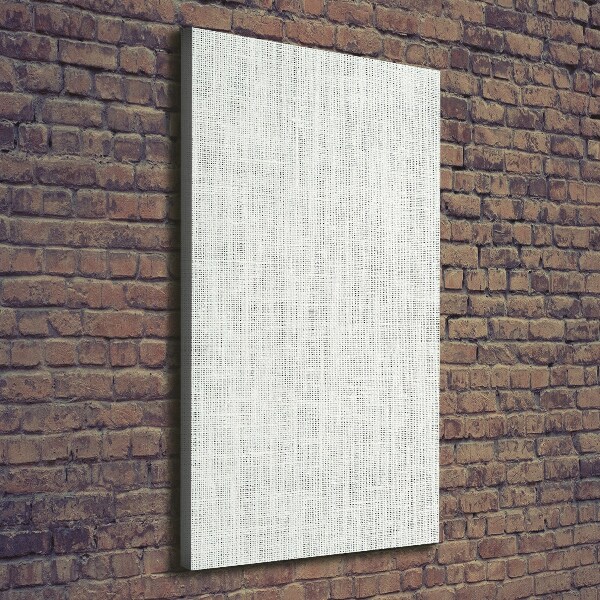 Canvas wall art Linen white canvas