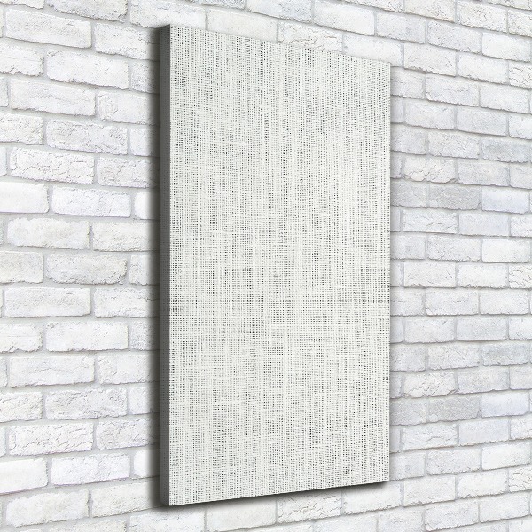 Canvas wall art Linen white canvas