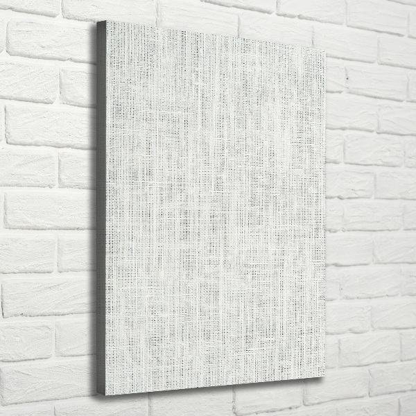 Canvas wall art Linen white canvas