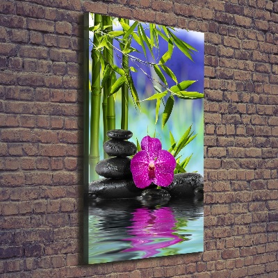 Canvas print Orchid and bamboo