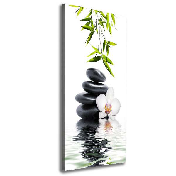 Canvas print Orchid and stones