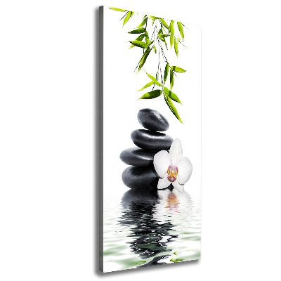 Canvas print Orchid and stones