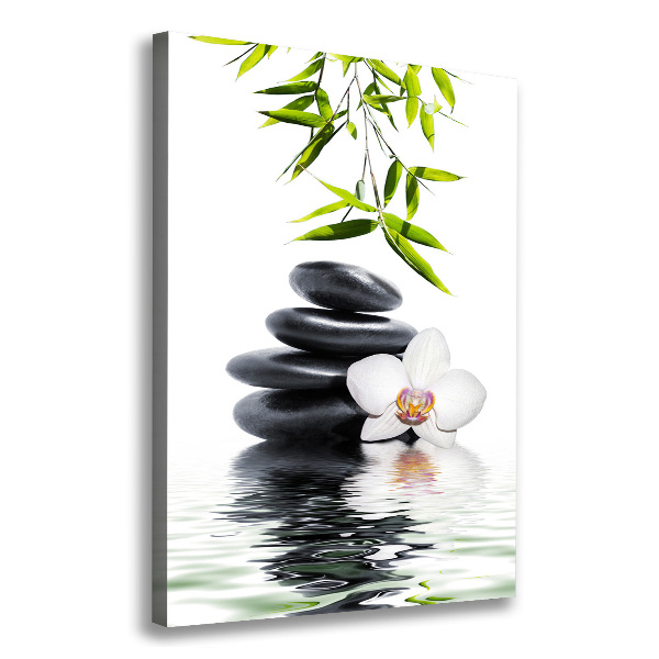 Canvas print Orchid and stones