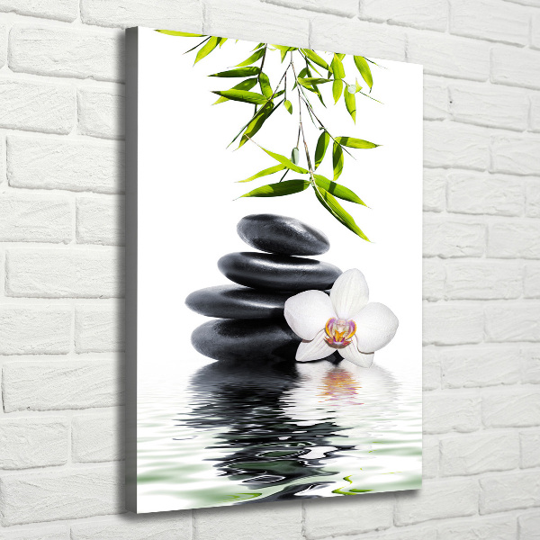 Canvas print Orchid and stones