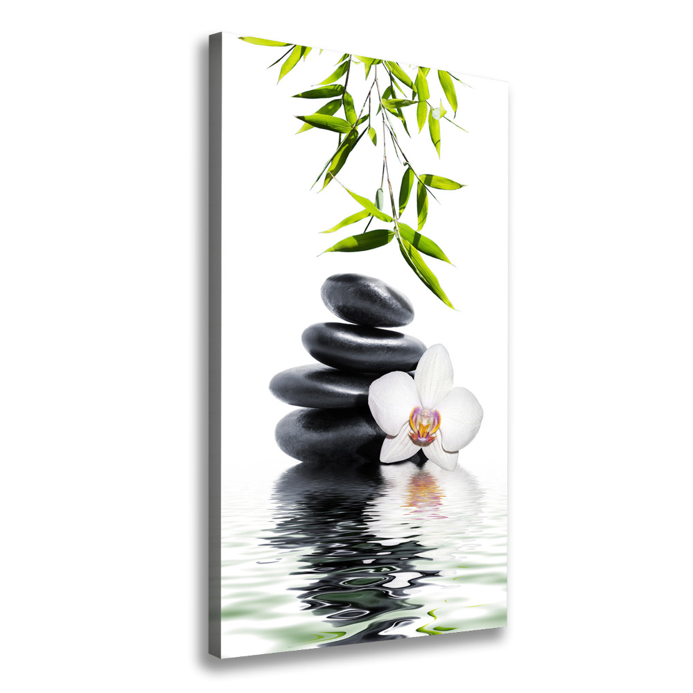 Canvas print Orchid and stones