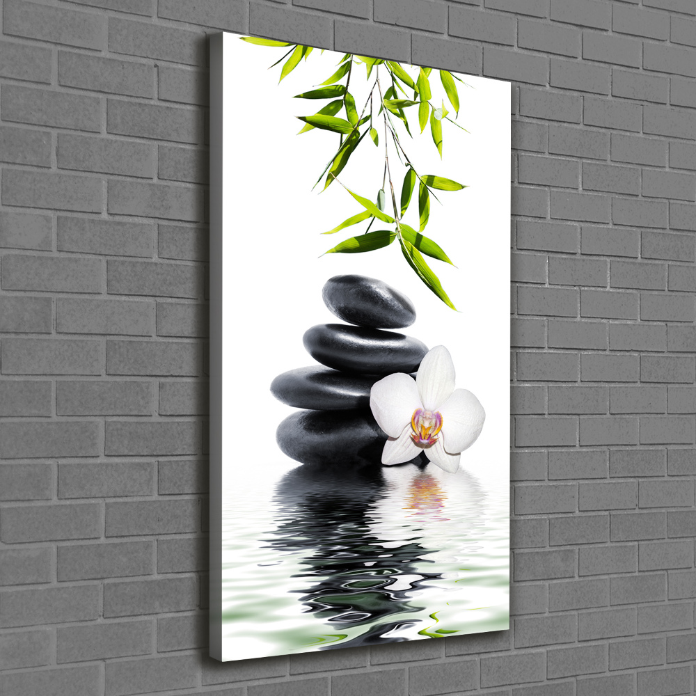 Canvas print Orchid and stones