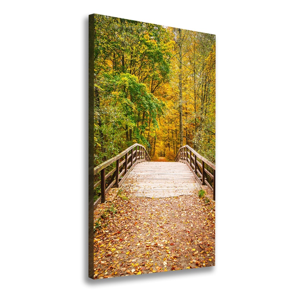 Canvas wall art Forest in autumn