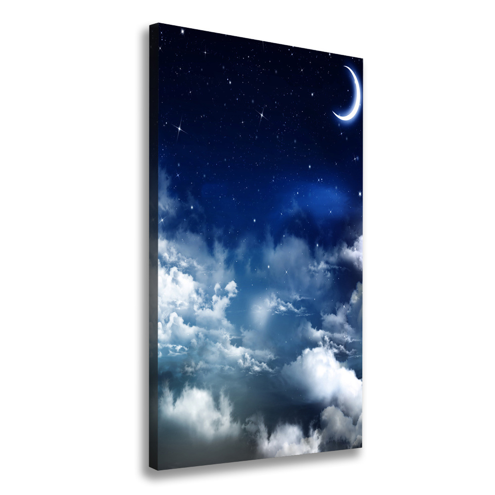 Canvas wall art Starry sky