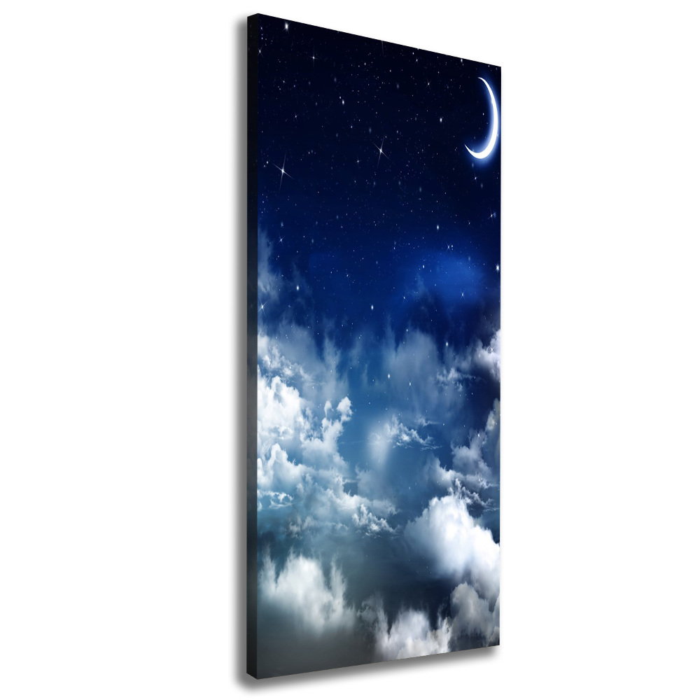 Canvas wall art Starry sky