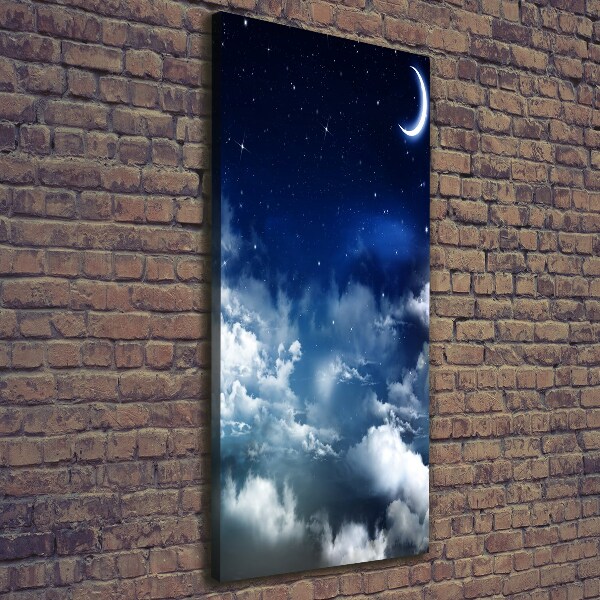 Canvas wall art Starry sky