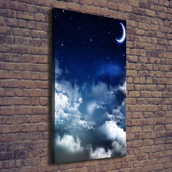 Canvas wall art Starry sky