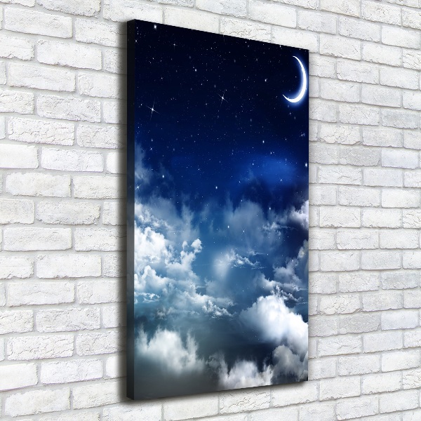 Canvas wall art Starry sky