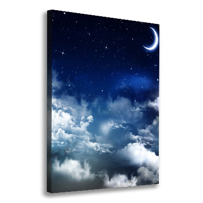 Canvas wall art Starry sky