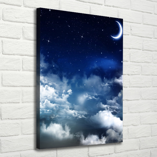 Canvas wall art Starry sky