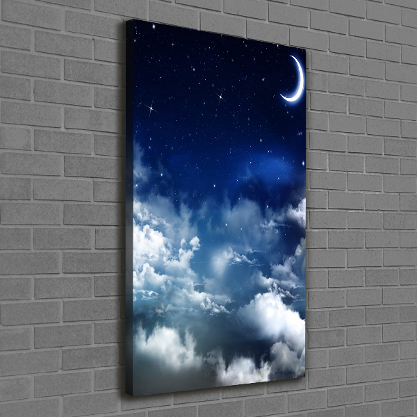 Canvas wall art Starry sky