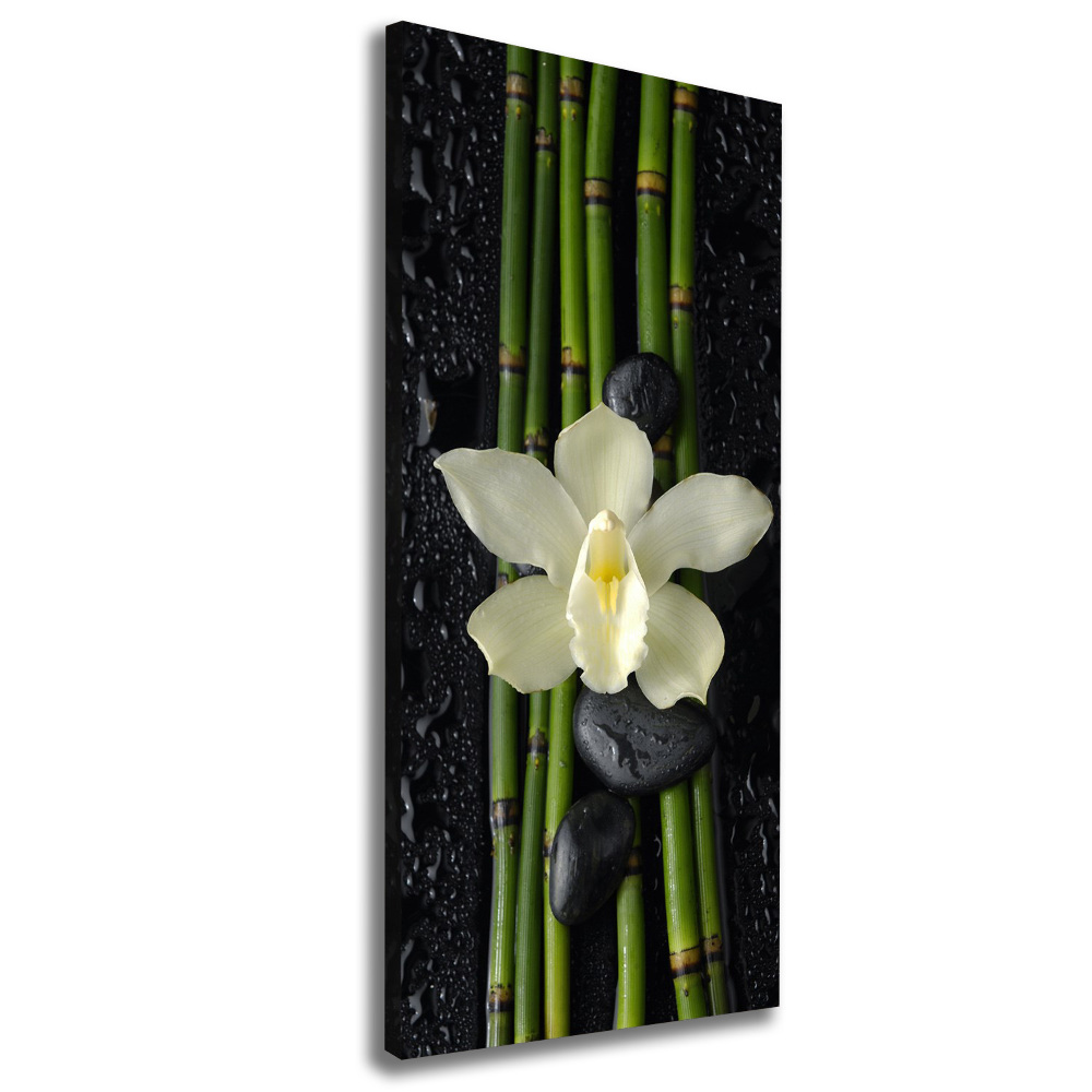 Wall art canvas large Orchid and bamboo