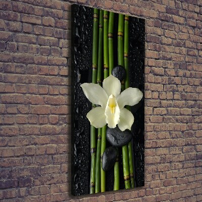 Wall art canvas large Orchid and bamboo