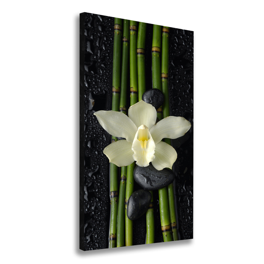 Wall art canvas large Orchid and bamboo