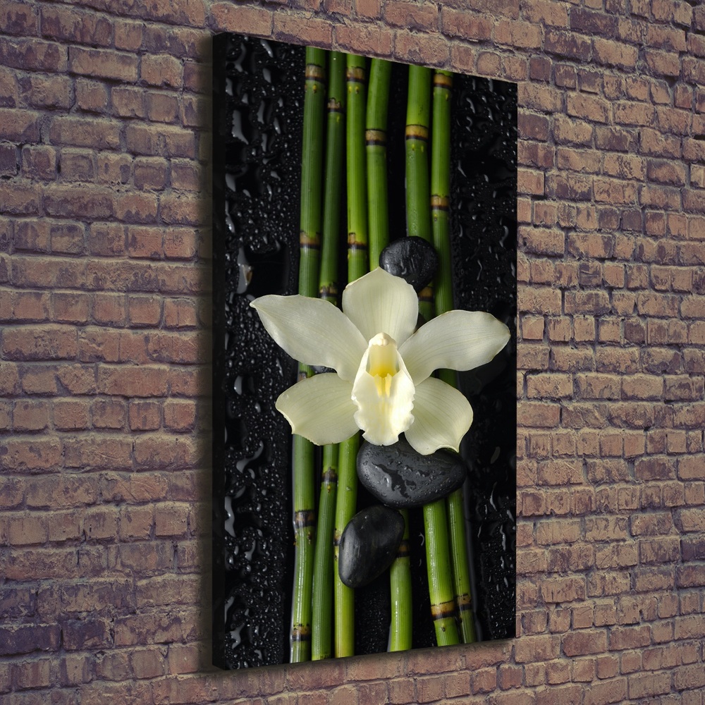 Wall art canvas large Orchid and bamboo