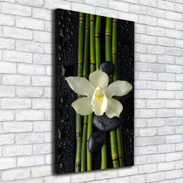 Wall art canvas large Orchid and bamboo