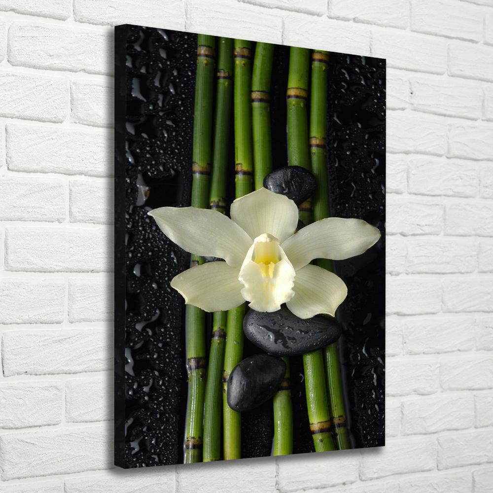 Wall art canvas large Orchid and bamboo