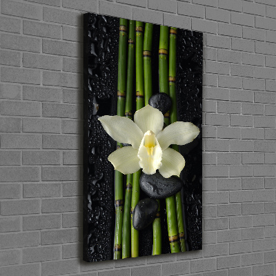 Wall art canvas large Orchid and bamboo