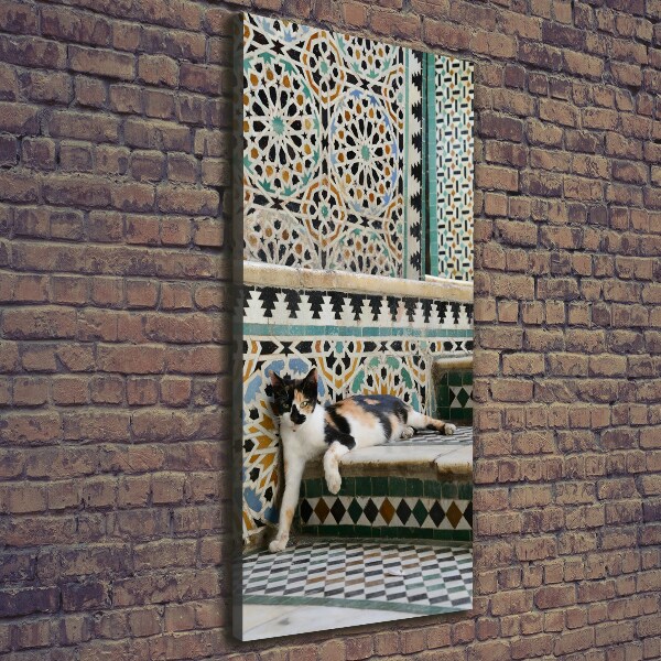 Wall art canvas large Cat in Morocco