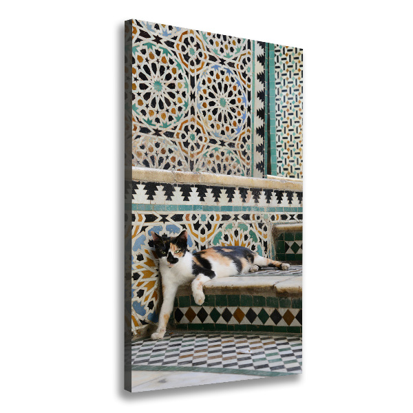 Wall art canvas large Cat in Morocco