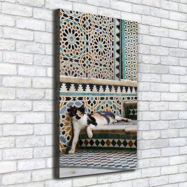 Wall art canvas large Cat in Morocco