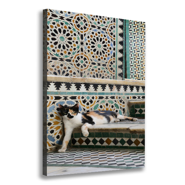 Wall art canvas large Cat in Morocco