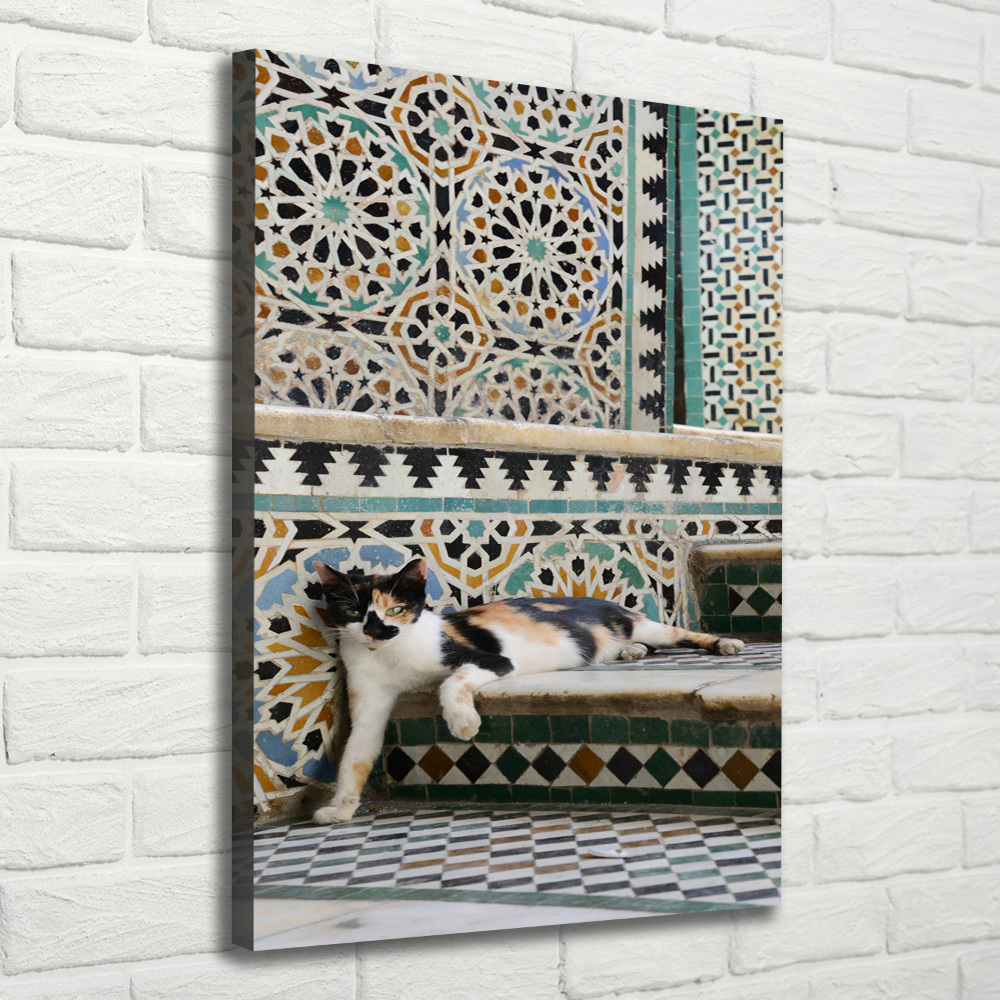 Wall art canvas large Cat in Morocco