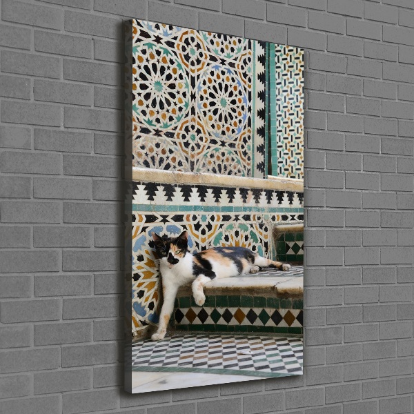 Wall art canvas large Cat in Morocco